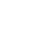 LP - Novo 11 International