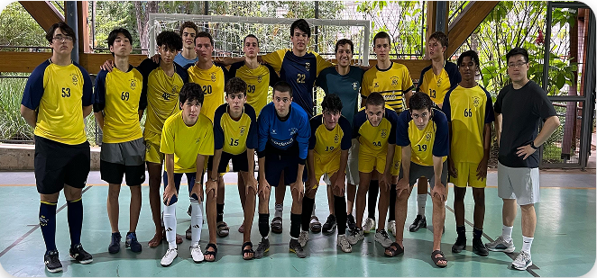 LP - Novo 7 Rectangle 31 1 e1750078774848