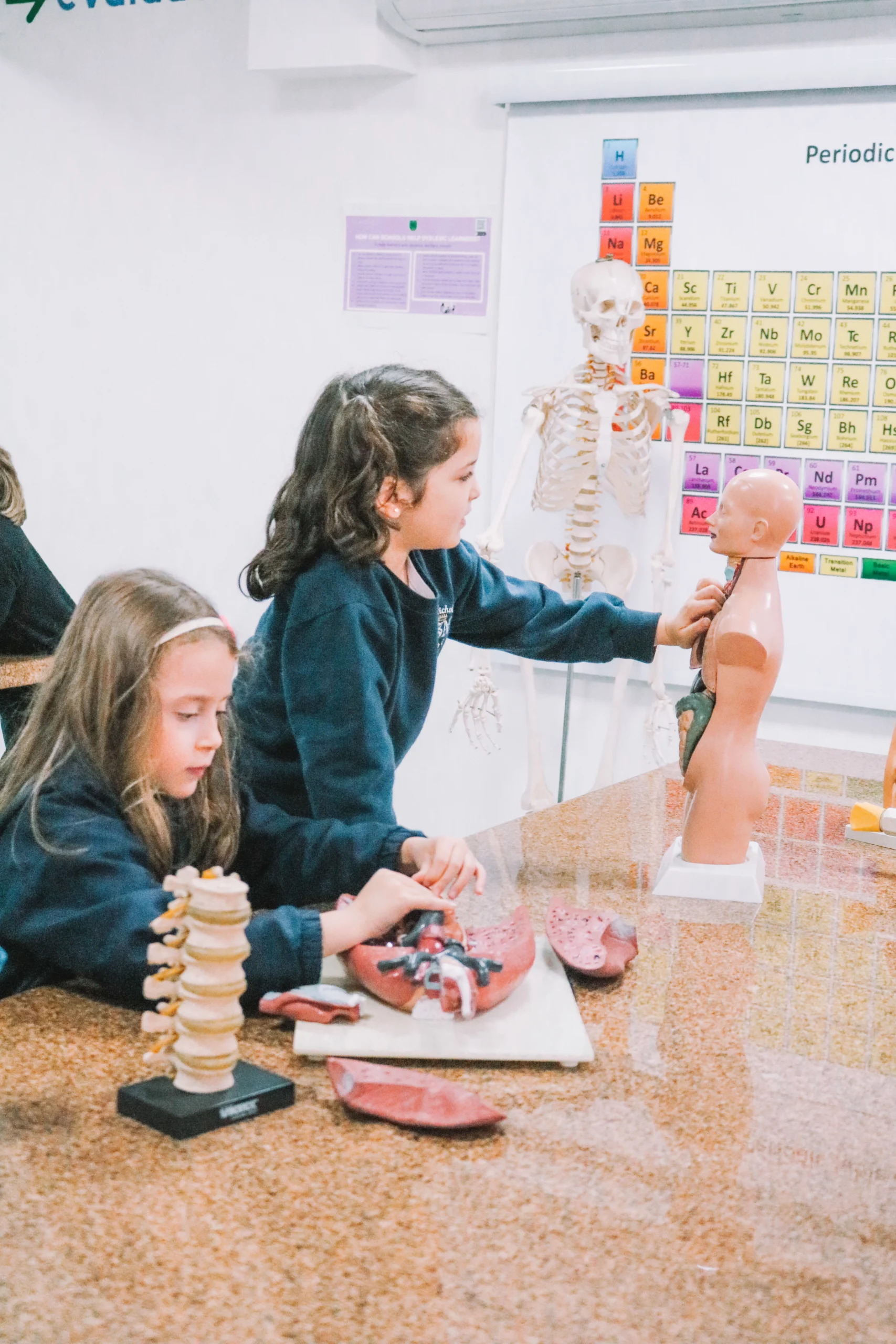 School routine in an international school: what actually changes in practice compared to traditional education
